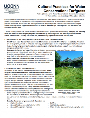 Cultural practices for turfgrass water conservation